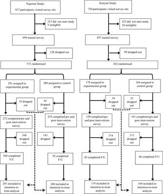 The effect of an e-intervention on intellectual disability stigma among Nigerian and Kenyan internet users: a comparative randomised controlled trial